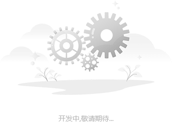 开发中.png